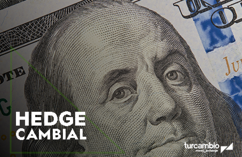 Hedge Cambial
